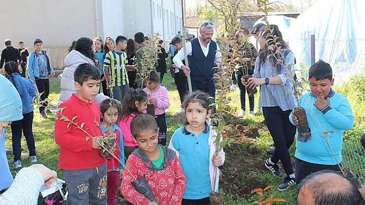 Köyceğiz'de Okul Bahçesi Keçiboynuzu Fidanları İle Donatıldı