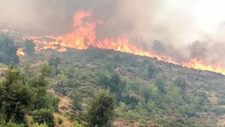 Köyceğiz'de orman yangın ekip binası yapılıyor