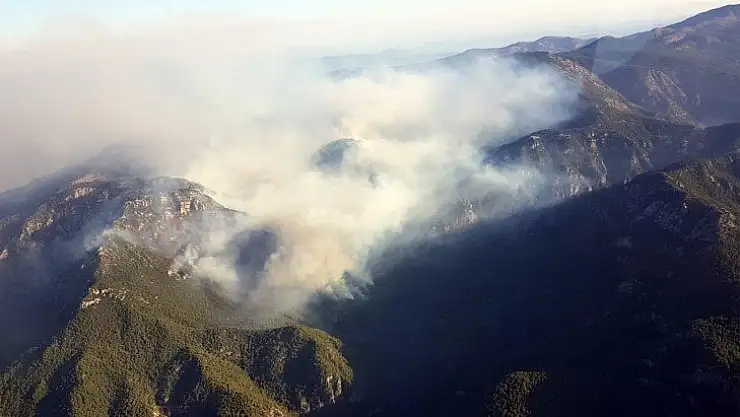Köyceğiz'deki yangın 5 ayrı noktada devam ediyor