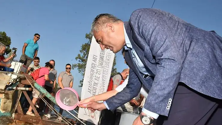 KÖYCEĞİZ GÖLÜNE 260 BİN YAVRU SAZAN BALIĞI BIRAKILDI