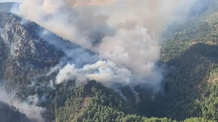 Köyceğiz yangını kontrol altına alındı