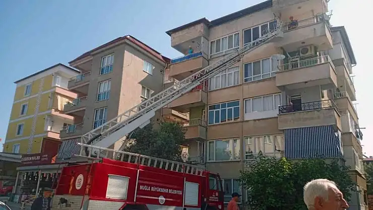 Kullanılmayan dairede mahsur kalan kediyi itfaiye kurtardı