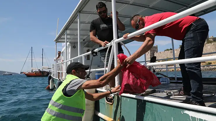 Kumbahçe sahilinde deniz dibi temizliği yapıldı