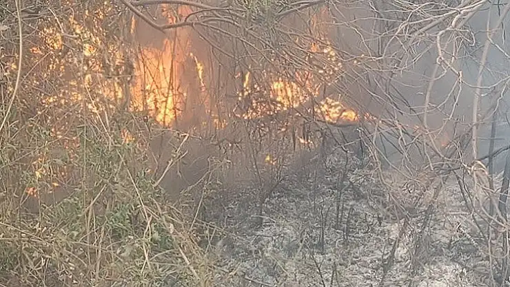 Kumluova Mahallesi'nde yangın