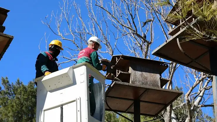 Kuş Yuvalarına Hassas Bakım