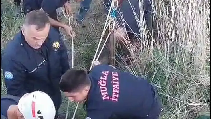 Kuyuya düşen kurt köpeği kurtarıldı