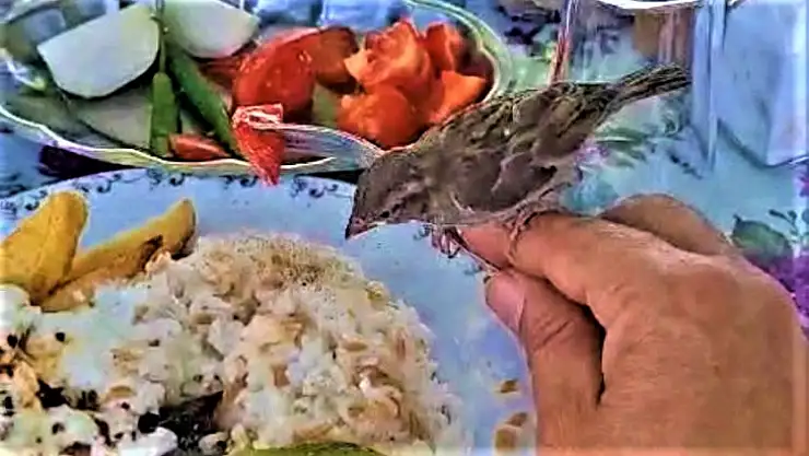 Lokantada insanın içini ısıtan manzaralar