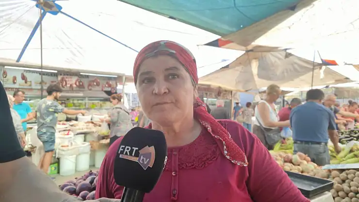 Mandalina Hastalığa Karşı Bire Bir