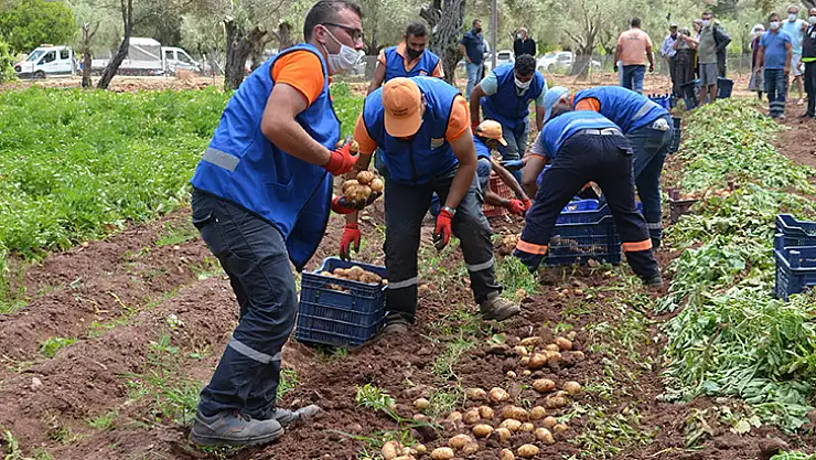 Marmaris Belediye Başkanı Oktay: 'Üretmenin Gururunu Yaşıyoruz'