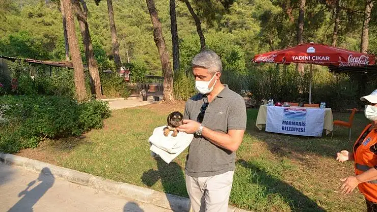 Marmaris Belediyesi Geçici Hayvan Bakımevi yangından etkilenen hayvanlara en güvenli alan oldu