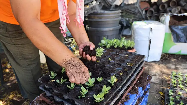 Marmaris Belediyesi, üreterek tasarruf etti
