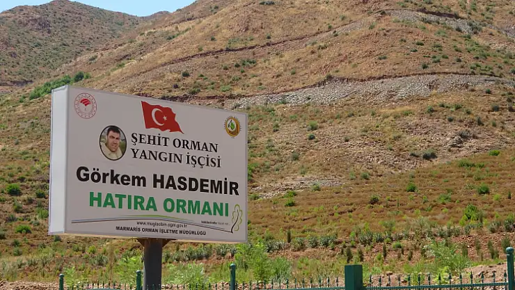 Marmaris'in En Büyük Yangınının Üzerinden 3 Yıl Geçti