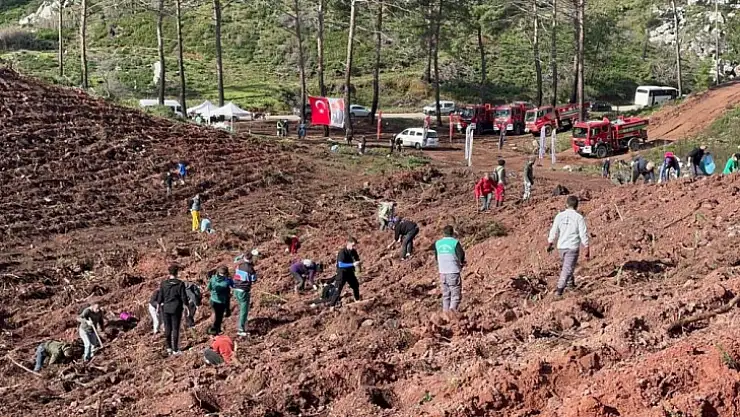 Marmaris'in ilk tescilli bal ormanında 5 bin fidan dikildi