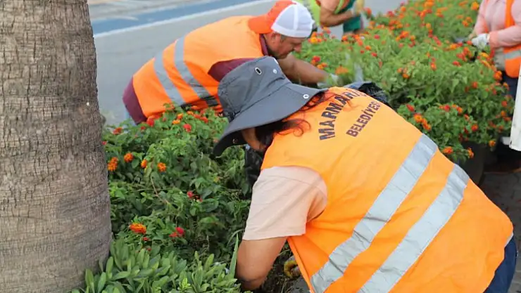 Marmaris'te orta refüjlerde bakım çalışması başladı