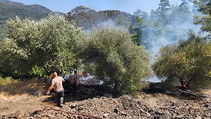 Marmaris'teki Orman Yangını Büyümeden Söndürüldü