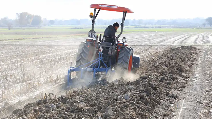 Menteşe Belediyesi hayvan yetiştiricisi için yem bitkisi üretiyor