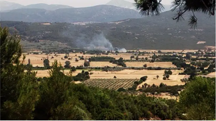 Menteşe'de anız yangını