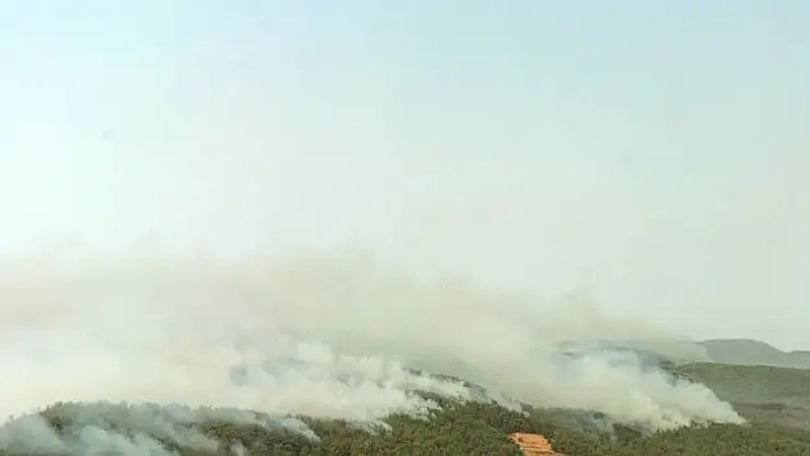 Menteşe'de havadan-karadan müdahale devam ediyor