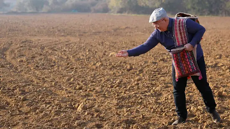 MENTEŞE'DE KARAKILÇIK ATA TOHUMU TOPRAKLA BULUŞTU