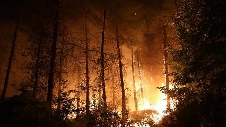 Menteşe'de yangınla mücadele gece boyunca devam etti