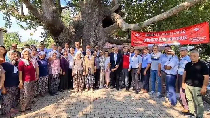 MENTEŞE FADIL'DA BİBER VE LAVANTA HASADI