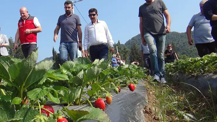 Meslek Liselilerden tarımsal üretime destek