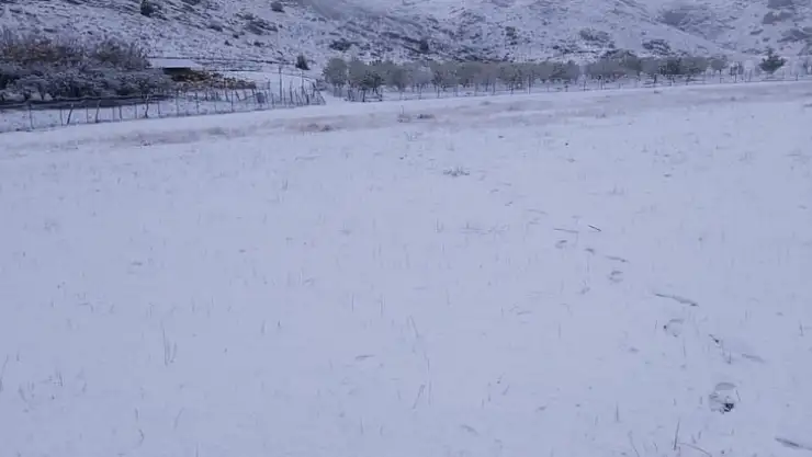 Mevsimin ilk karı kartpostallık görüntüler oluşturdu