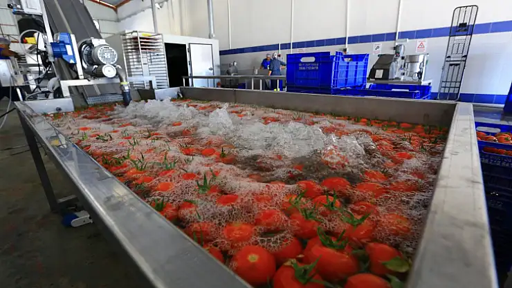 Meyve Sebze Kurutma Tesisi İle Dört Mevsim Üretim