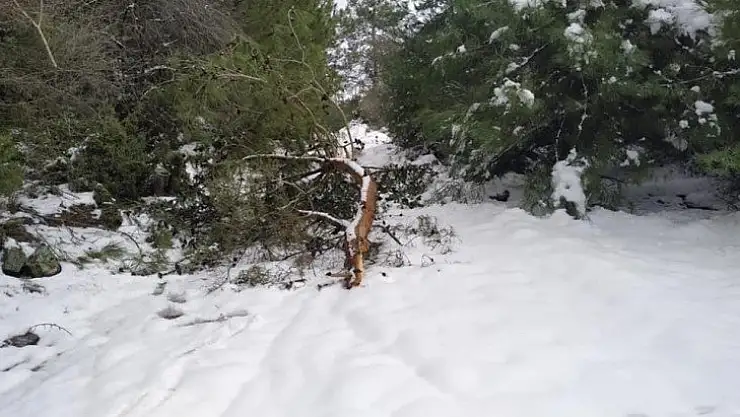 Milas Belediyesi hafta sonu kar mesaisindeydi