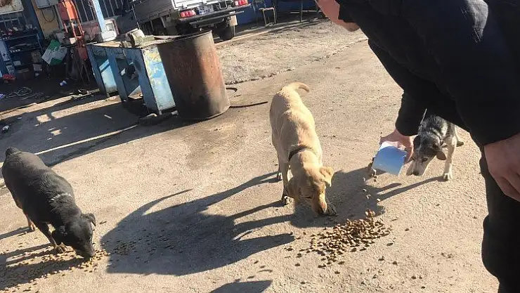 Milas Belediyesi Minik Dostlarımızın Yanında