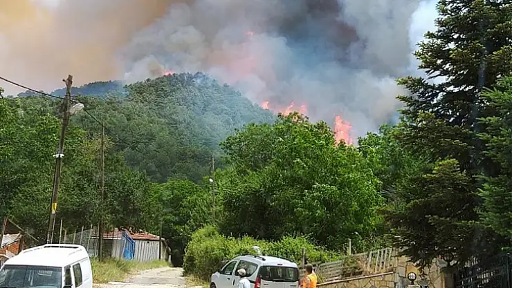 Milas'ta başlayan orman yangını büyüyor