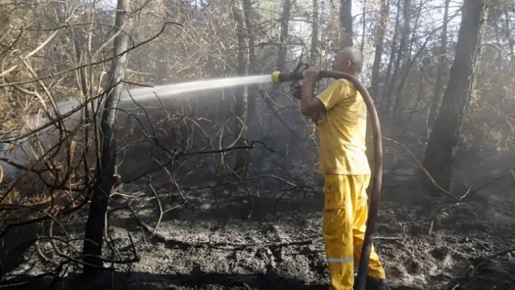 Milas'ta havadan karadan soğutma çalışması yapılıyor