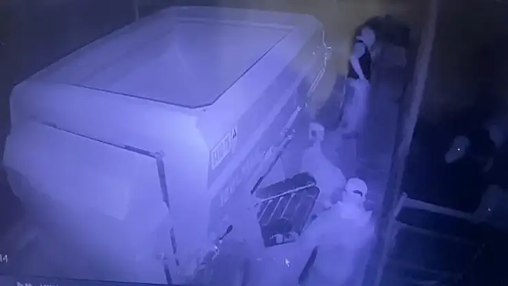 Milas'ta Hayvan Hırsızlığı İddiası