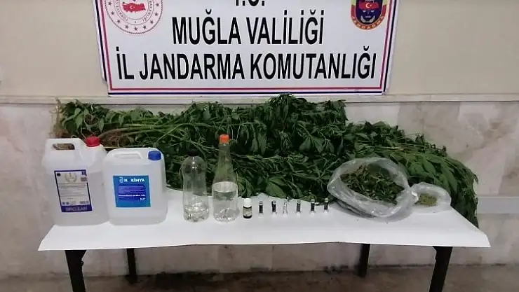 Milas'ta kaçak içki, kenevir ve uyuşturucu madde ele geçirildi