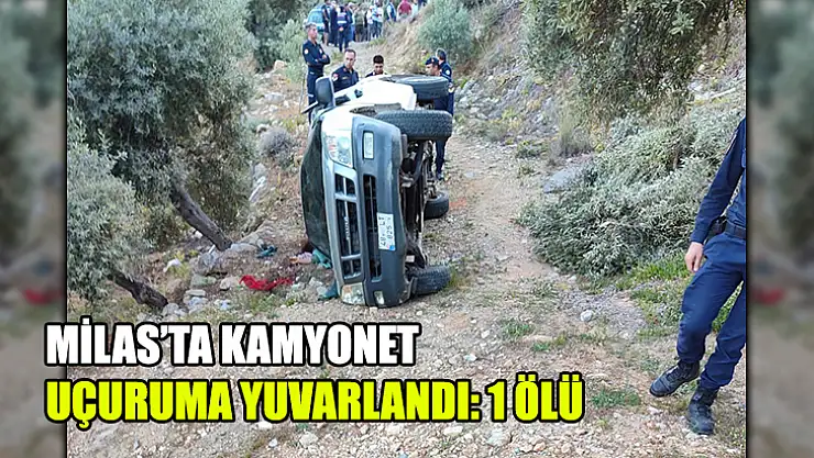 Milas'ta Kamyonet Uçuruma Yuvarlandı: 1 Ölü