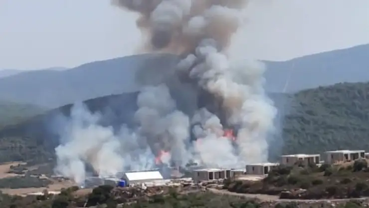 Milas'ta orman yangını başladı