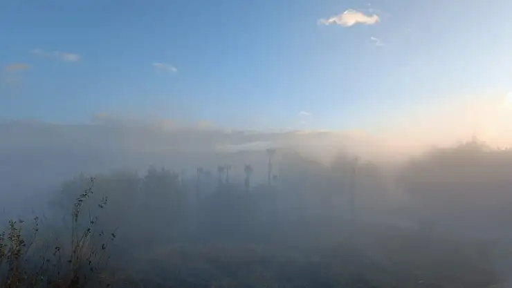 Milas'ta Sis Etkili Oldu