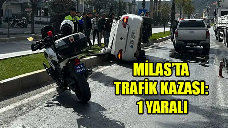 Milas'ta Trafik Kazası: 1 Yaralı