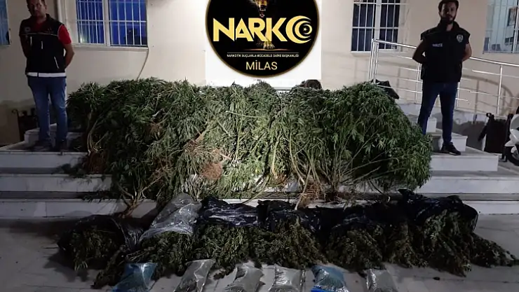 MİLAS'TA UYUŞTURUCU OPERASYONU