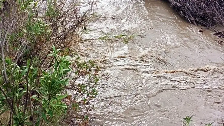 Milas'taki Hamzabey Çayı, eski günlerine geri döndü