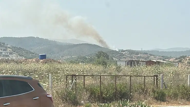 Milas'taki orman yangını kontrol altına alındı