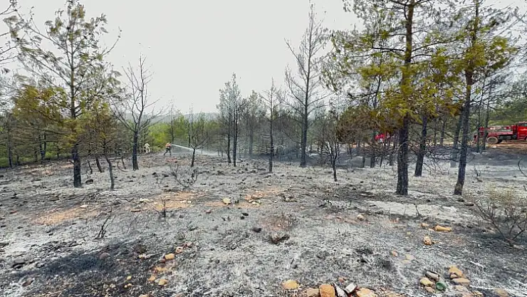 Milas yangını kontrol altında