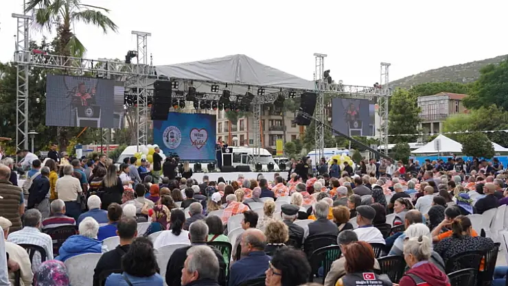 Milas Zeytin Hasat Şenliği Başladı