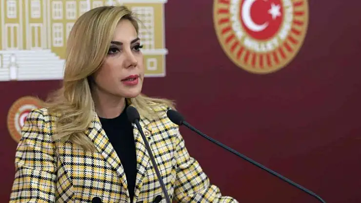 Milletvekili Gökcan'dan 1 Mayıs Emek ve Dayanışma günü mesajı