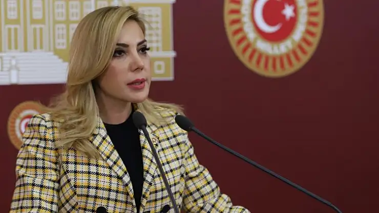 Milletvekili Gökcan'dan Yeni Yıl Mesajı