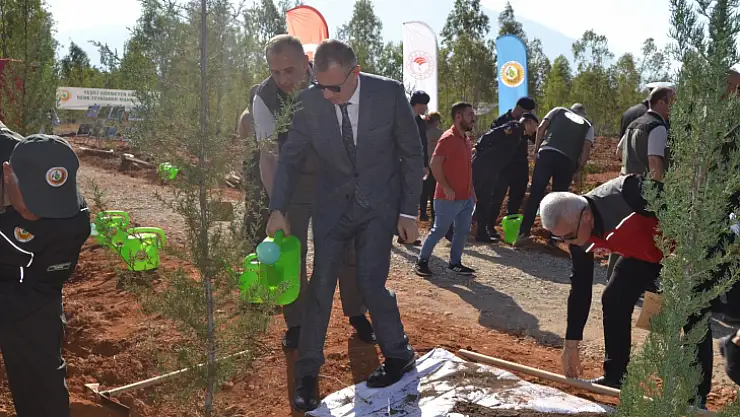Milli Ağaçlandırma Günü'nde 2023 fidan dikildi