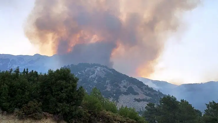 Muğla 6 bölgede alevlerle savaşıyor