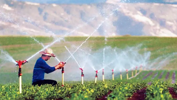 Muğla'da 140 bin dekar alan su ile buluştu