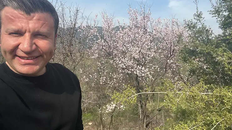 MUĞLA'DA BADEM AĞAÇLARI ÇİÇEK AÇTI