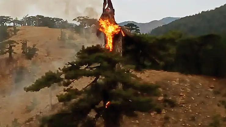 Muğla'da Bir Günde 11 Yıldırım Yangını